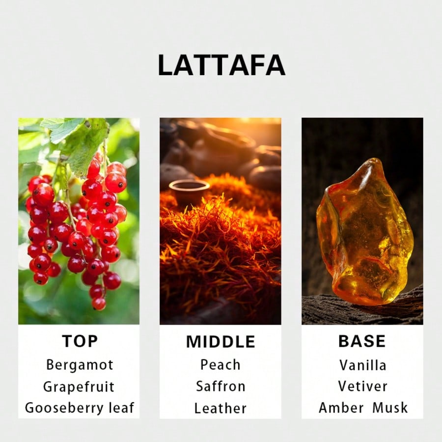 ハヤーティ ゴールドエリクサー メンズ オードパルファムスプ - Fragrance Perfume Spray のレビューと価格