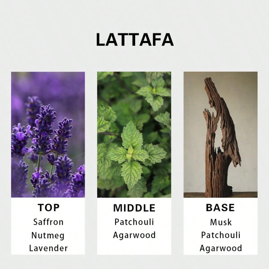 ラッタファ バディー アル ウード フォー グローリー メン - Fragrance Perfume Spray のレビューと価格