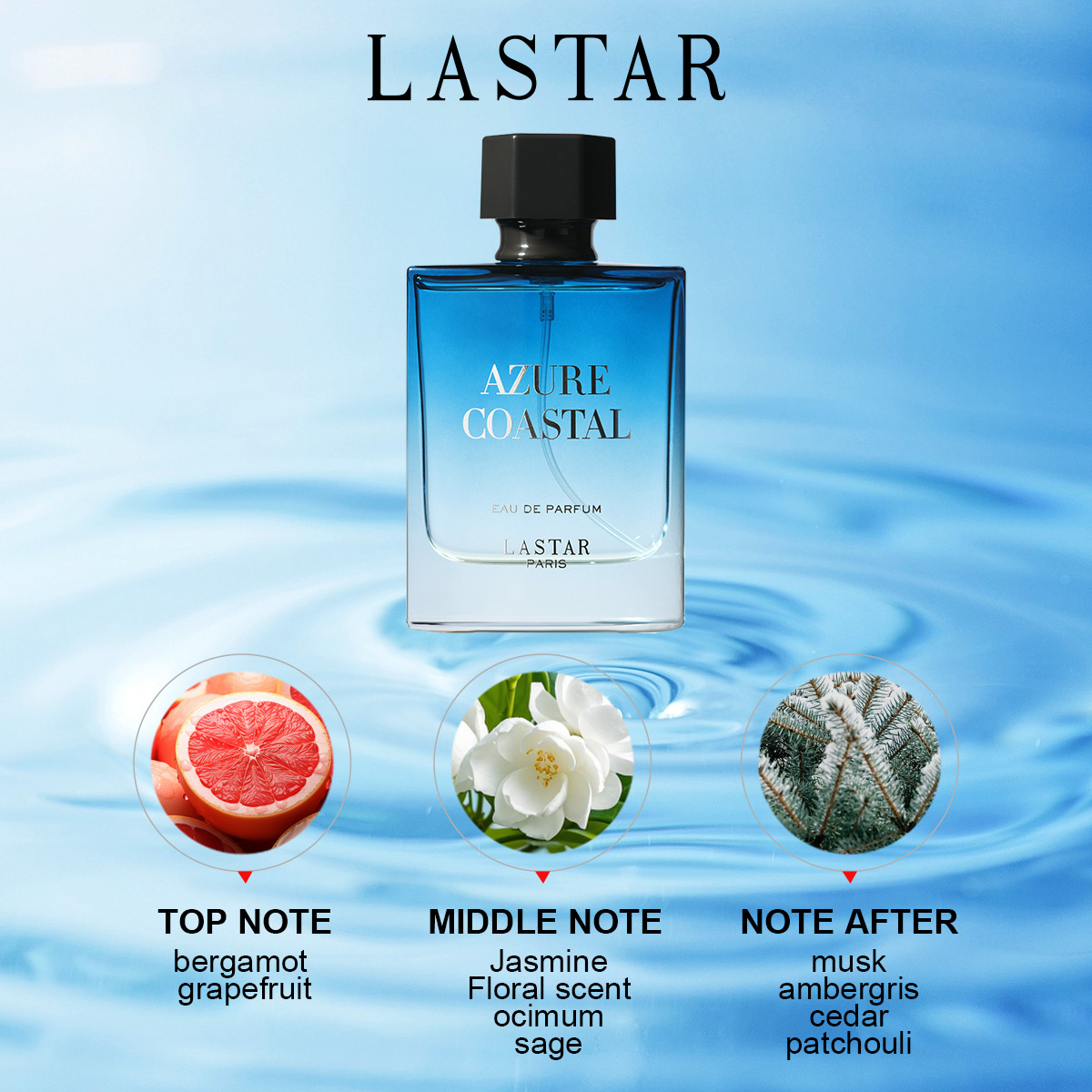 LASTAR メンズ香水、2本合計100ml/3.38fl. - Perfume Fragrance Couture のレビューと価格